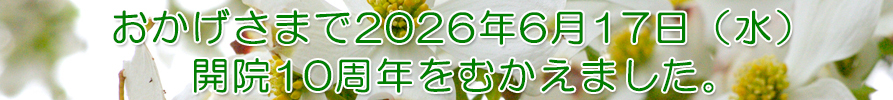 品川御殿山皮膚科
